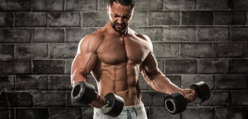 Sports Muscle Builder   ( milk powder ) - Image 2