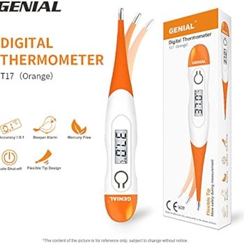 Thermometer Flexible