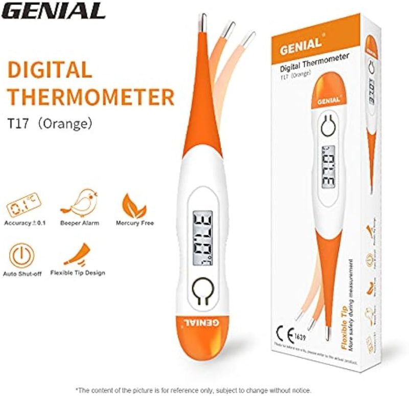 Thermometer Flexible